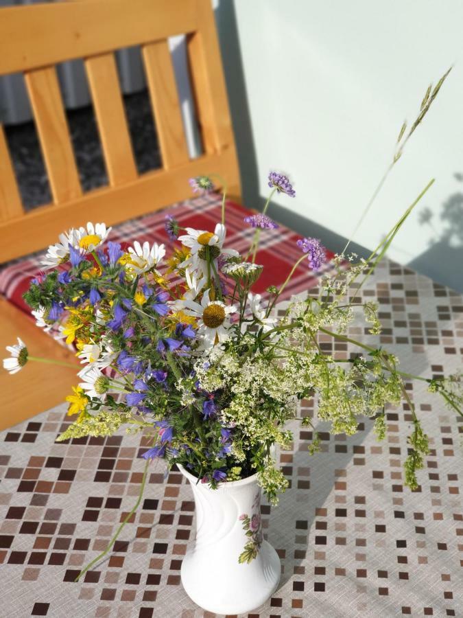 Apartmani Mir Žabljak Buitenkant foto