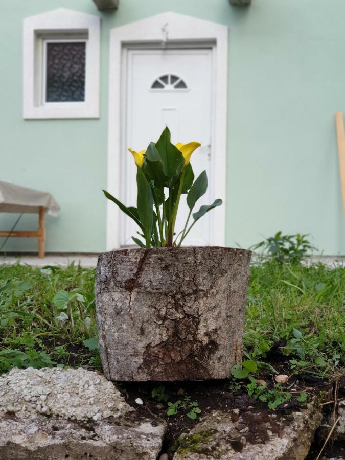 Apartmani Mir Žabljak Buitenkant foto
